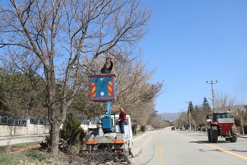 Elmadağ’da, İlçe genelinde cadde, sokak, orta refüj ve parklar da yabani ot biçme ve ağaç budama çalışmaları program dahilinde yapılıyor.